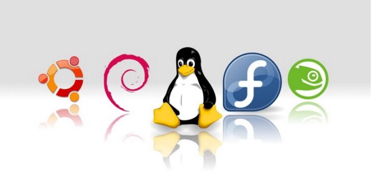 Las Distribuciones de Linux: Una Guía para Comprender y Elegir la más Adecuada